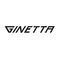 Ginetta G15 kaufen