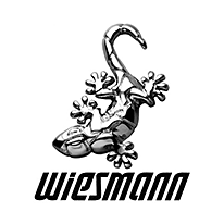 Wiesmann kaufen