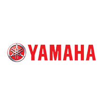Yamaha TZ kaufen